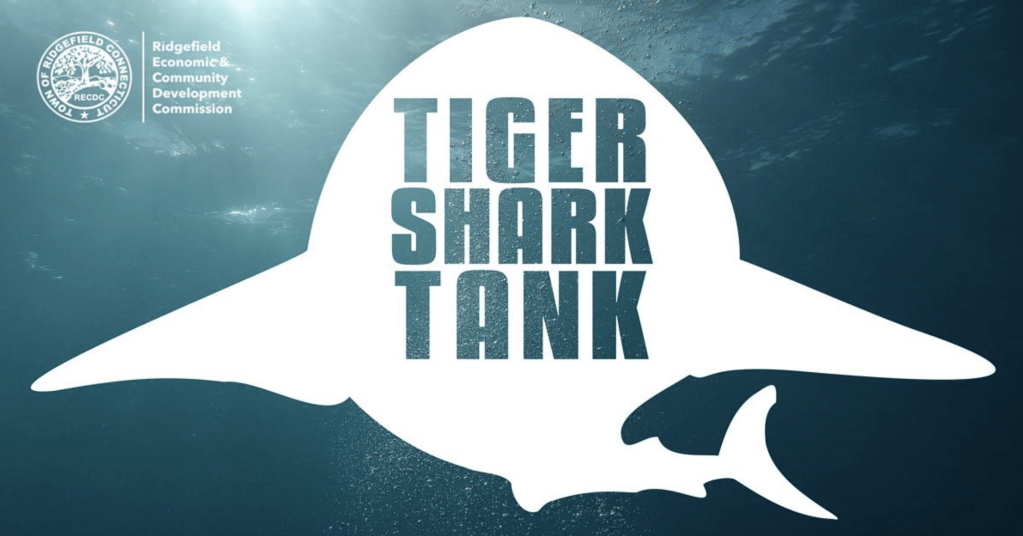 Tiger-Shark Tank - inRidgefield